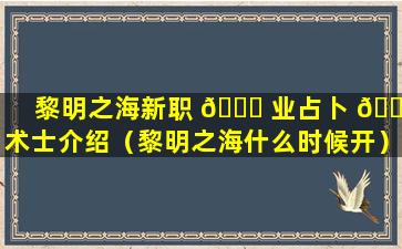 黎明之海新职 💐 业占卜 🌲 术士介绍（黎明之海什么时候开）